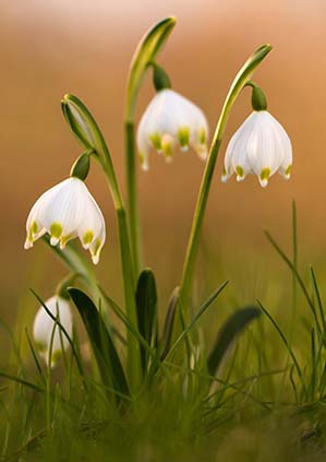 Einfach mal ausprobieren Mini-Workshops