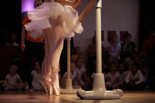 Bewegliche Ballett-Stangen S-eins Ballett